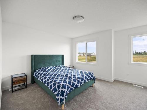 19732 29 Avenue, Edmonton, AB - Indoor Photo Showing Bedroom