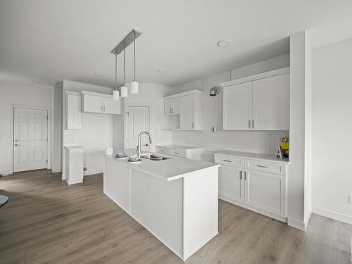 19732 29 Avenue, Edmonton, AB - Indoor Photo Showing Kitchen With Double Sink