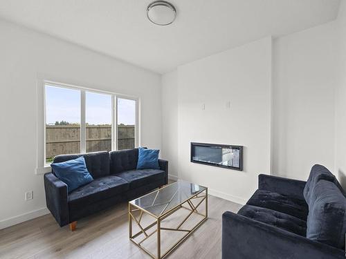 19732 29 Avenue, Edmonton, AB - Indoor Photo Showing Living Room With Fireplace