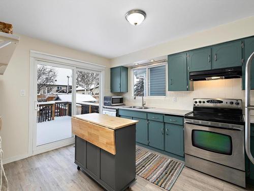 3439 40 Street, Edmonton, AB - Indoor Photo Showing Kitchen With Double Sink