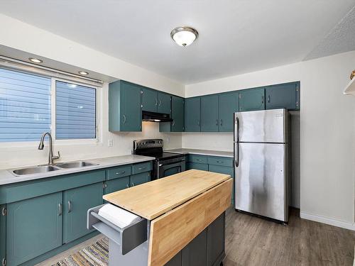 3439 40 Street, Edmonton, AB - Indoor Photo Showing Kitchen With Double Sink