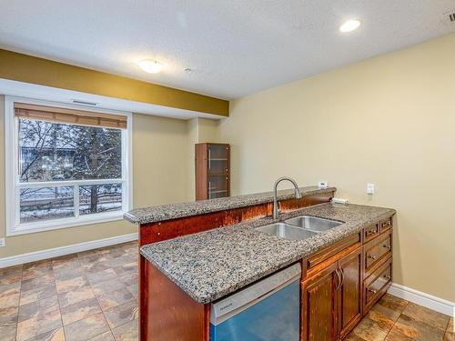 10903 81 Avenue, Edmonton, AB - Indoor Photo Showing Kitchen With Double Sink