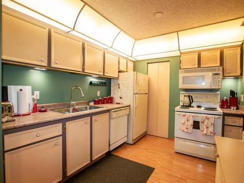 9251 172 Street, Edmonton, AB - Indoor Photo Showing Kitchen With Double Sink