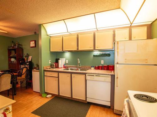 9251 172 Street, Edmonton, AB - Indoor Photo Showing Kitchen With Double Sink