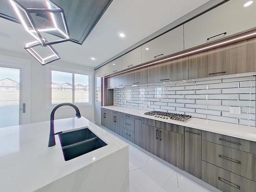 1735 18 Street, Edmonton, AB - Indoor Photo Showing Kitchen With Double Sink With Upgraded Kitchen