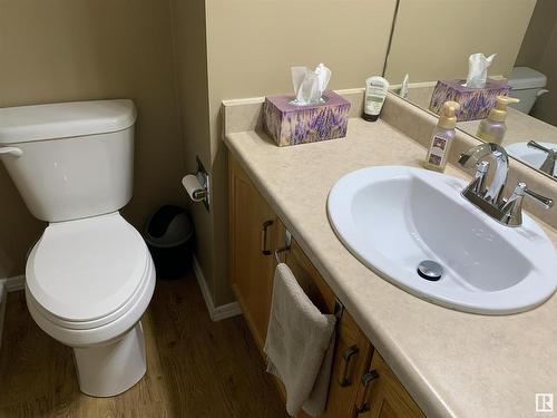 16219 93 Street, Edmonton, AB - Indoor Photo Showing Bathroom