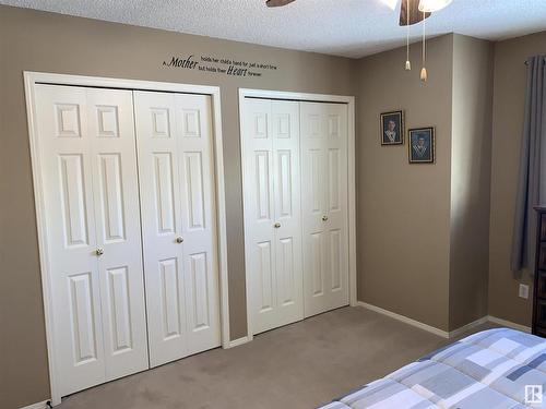 16219 93 Street, Edmonton, AB - Indoor Photo Showing Bedroom