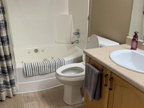 16219 93 Street, Edmonton, AB - Indoor Photo Showing Bathroom