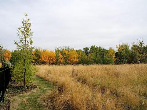 7506 May Common, Edmonton, AB - Outdoor With View