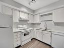 101 7403 171 Street, Edmonton, AB  - Indoor Photo Showing Kitchen With Double Sink 