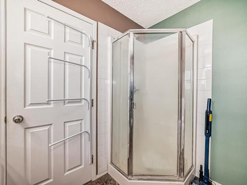 1817 Tomlinson Crescent Nw, Edmonton, AB - Indoor Photo Showing Bathroom