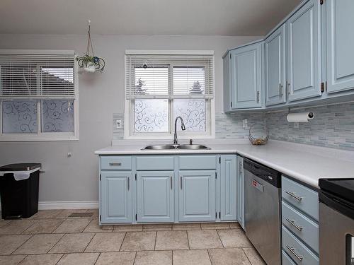 3539 13 Avenue, Edmonton, AB - Indoor Photo Showing Kitchen With Double Sink