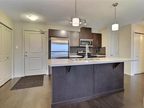 347 1196 Hyndman Road, Edmonton, AB - Indoor Photo Showing Kitchen With Double Sink