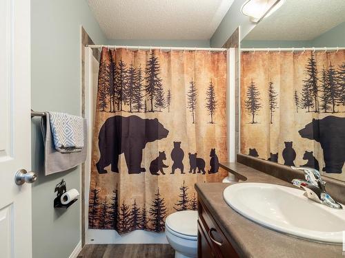 16215 48 Street, Edmonton, AB - Indoor Photo Showing Bathroom