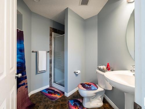 16215 48 Street, Edmonton, AB - Indoor Photo Showing Bathroom