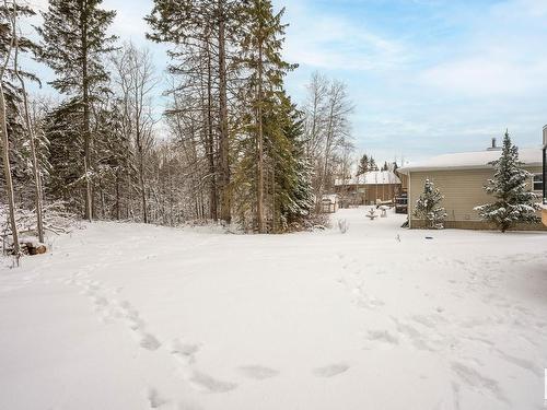 114 Heron Point Close, Rural Wetaskiwin County, AB - Outdoor