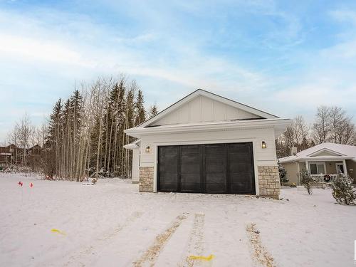 114 Heron Point Close, Rural Wetaskiwin County, AB - Outdoor