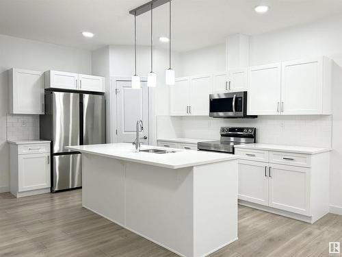 19720 29 Avenue Nw, Edmonton, AB - Indoor Photo Showing Kitchen With Upgraded Kitchen