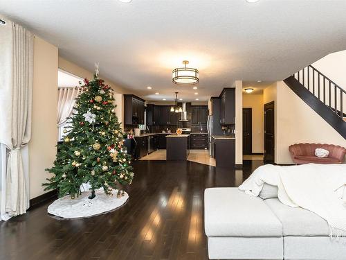 20515 95 Avenue, Edmonton, AB - Indoor Photo Showing Living Room