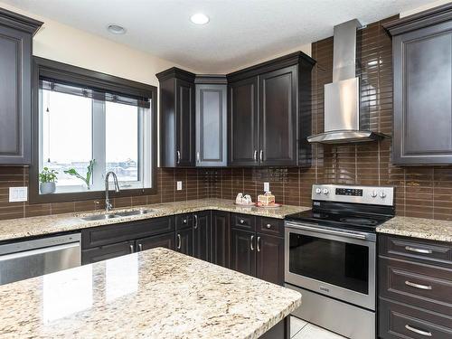 20515 95 Avenue, Edmonton, AB - Indoor Photo Showing Kitchen With Double Sink With Upgraded Kitchen