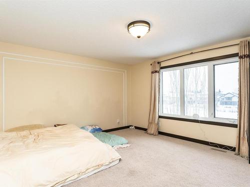 20515 95 Avenue, Edmonton, AB - Indoor Photo Showing Bedroom