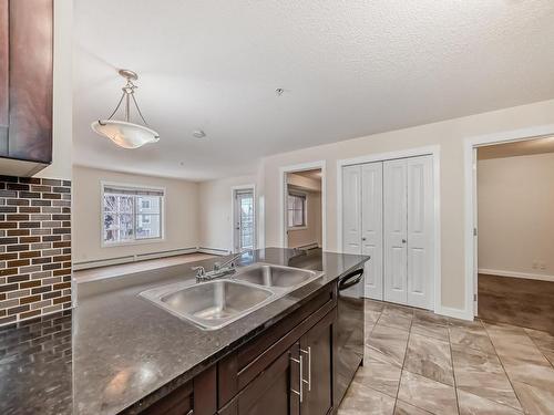 207 5370 Chappelle Road, Edmonton, AB - Indoor Photo Showing Kitchen With Double Sink