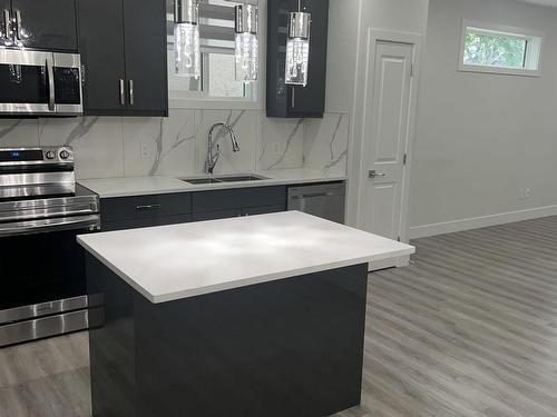 12016 104 Street, Edmonton, AB - Indoor Photo Showing Kitchen With Double Sink