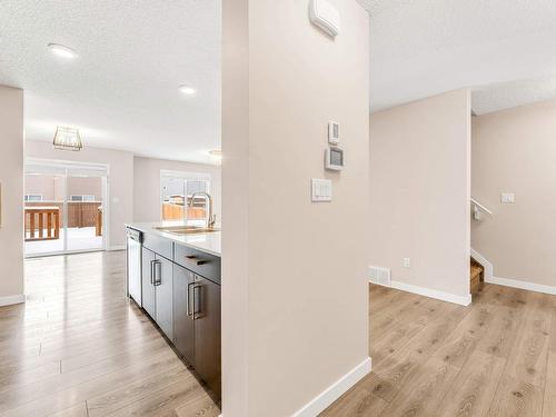 2536 Casey Way, Edmonton, AB - Indoor Photo Showing Kitchen