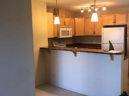 350 2096 Blackmud Creek Sw, Edmonton, AB - Indoor Photo Showing Kitchen