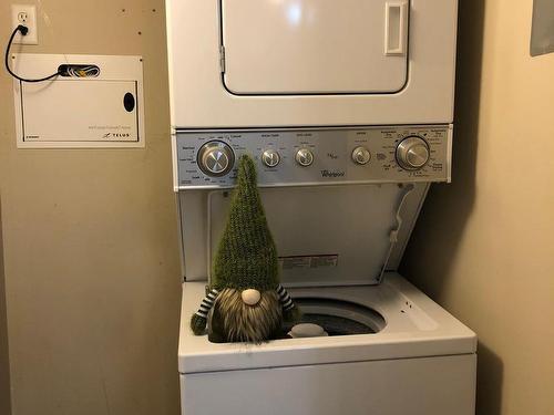 350 2096 Blackmud Creek Sw, Edmonton, AB - Indoor Photo Showing Laundry Room