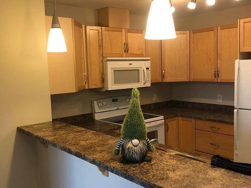 350 2096 Blackmud Creek Sw, Edmonton, AB - Indoor Photo Showing Kitchen