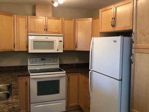 350 2096 Blackmud Creek Sw, Edmonton, AB - Indoor Photo Showing Kitchen