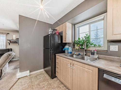 319- 11453 Ellerslie Rd Sw Road Sw, Edmonton, AB - Indoor Photo Showing Kitchen With Double Sink