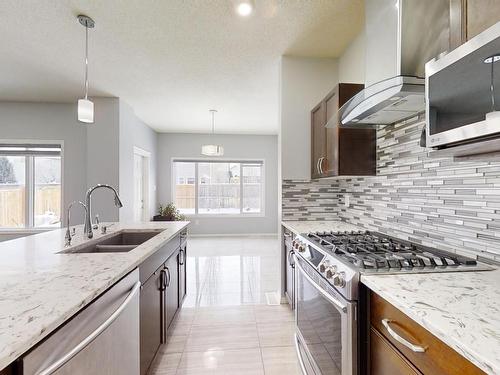 9119 Cooper Cres, Edmonton, AB - Indoor Photo Showing Kitchen With Double Sink With Upgraded Kitchen