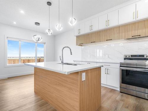 2920 1 Avenue, Edmonton, AB - Indoor Photo Showing Kitchen With Upgraded Kitchen