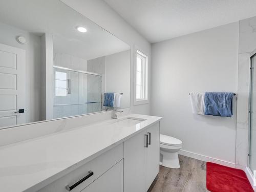 621 Glenridding Ravine Drive, Edmonton, AB - Indoor Photo Showing Bathroom