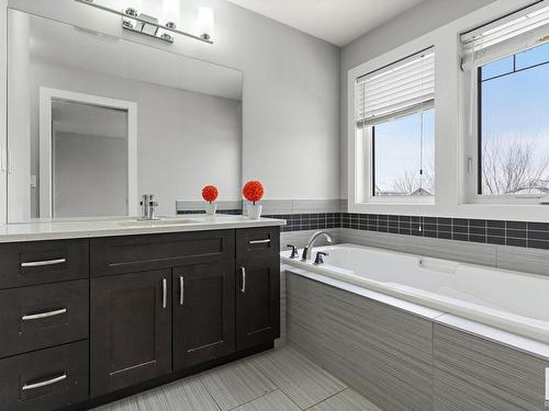 8719 218 Street, Edmonton, AB - Indoor Photo Showing Bathroom