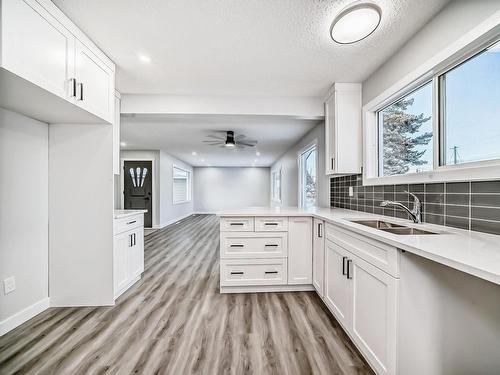 13539 115 Street, Edmonton, AB - Indoor Photo Showing Kitchen With Double Sink