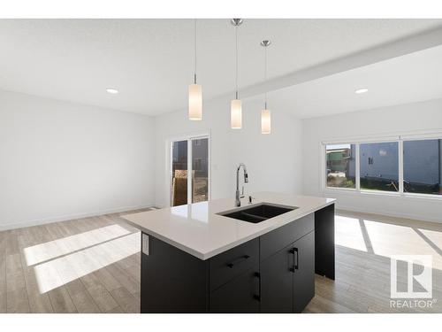 19007 20 Avenue, Edmonton, AB - Indoor Photo Showing Kitchen With Double Sink