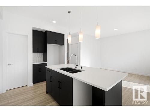 19007 20 Avenue, Edmonton, AB - Indoor Photo Showing Kitchen With Double Sink