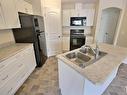 29 604 62 Street, Edmonton, AB  - Indoor Photo Showing Kitchen With Double Sink 