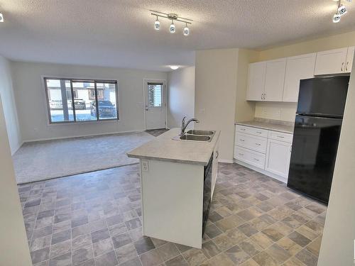 29 604 62 Street, Edmonton, AB - Indoor Photo Showing Kitchen With Double Sink