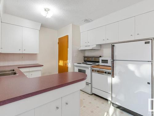 3641 117 Avenue, Edmonton, AB - Indoor Photo Showing Kitchen With Double Sink