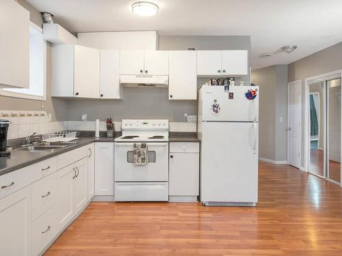 10252 159 Street Nw, Edmonton, AB - Indoor Photo Showing Kitchen With Double Sink