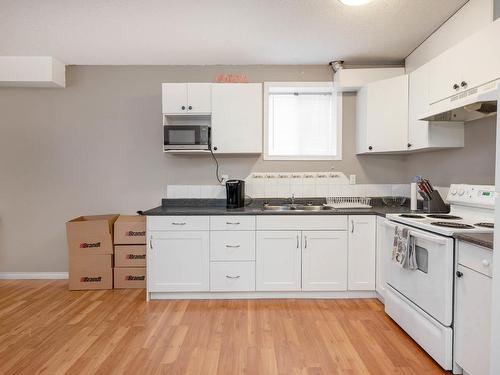 10252 159 Street Nw, Edmonton, AB - Indoor Photo Showing Kitchen With Double Sink