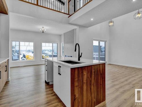 2448 205 Street, Edmonton, AB - Indoor Photo Showing Kitchen With Double Sink