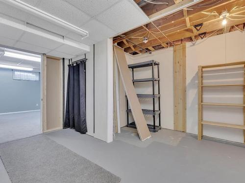 7955 178 Street, Edmonton, AB - Indoor Photo Showing Basement