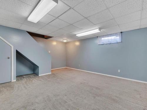 7955 178 Street, Edmonton, AB - Indoor Photo Showing Basement