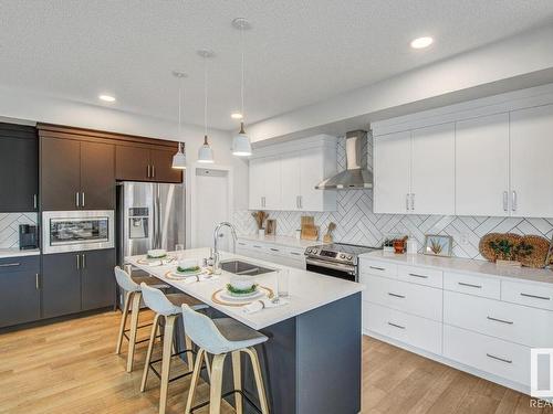 19011 20 Avenue, Edmonton, AB - Indoor Photo Showing Kitchen With Double Sink With Upgraded Kitchen