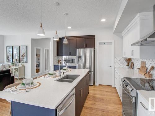 19011 20 Avenue, Edmonton, AB - Indoor Photo Showing Kitchen With Double Sink With Upgraded Kitchen